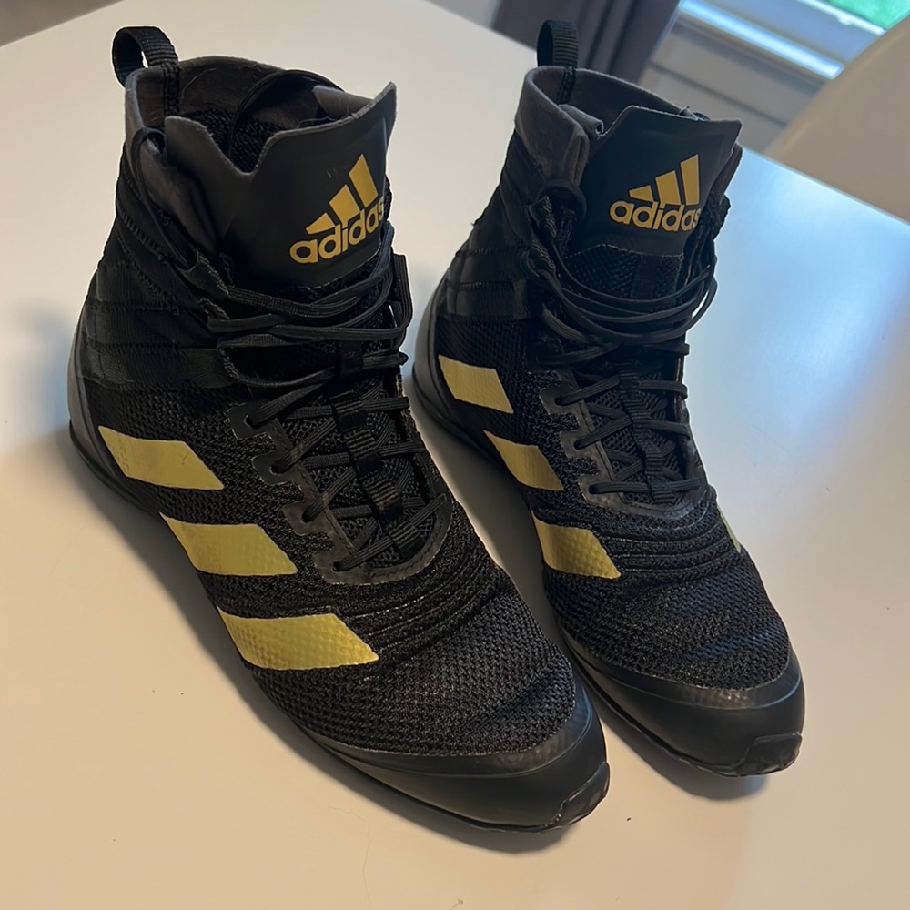 Boxing/kickboxing shoes